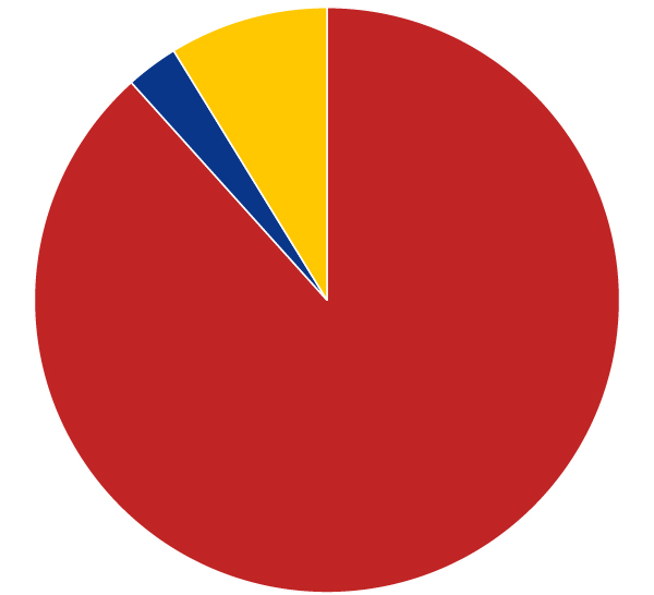 2022 Revenue